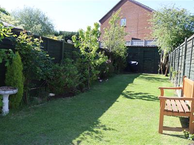 Picture 15